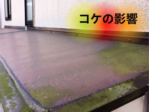 建物に発生するコケの影響
